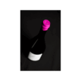 Coteaux Champenois Rosé 2022